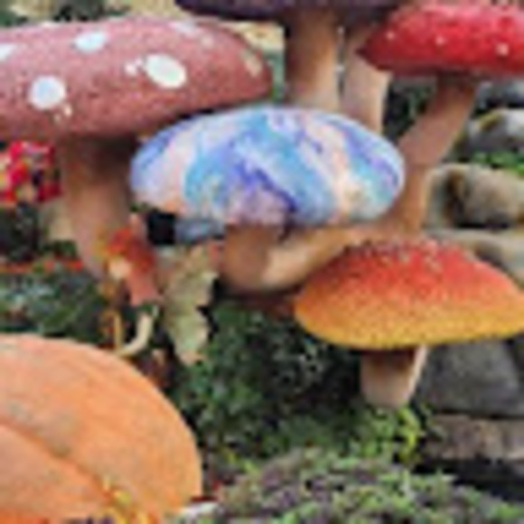 Meet your Posher, Maria - Picture 1 of 1